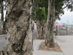 IMG_1990