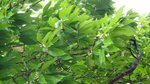 DSC00146