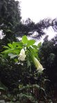 DSC00158