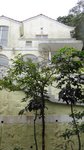 DSC00159