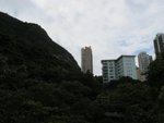 IMG_2339