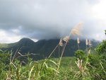 IMG_2425