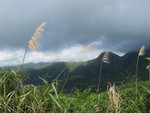 IMG_2426