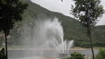 DSC00254
