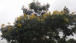 DSC00257
