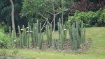 DSC00258