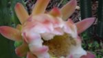 DSC00260