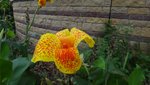 DSC00267