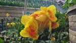 DSC00268