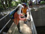 DSC00836