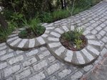 DSC00844