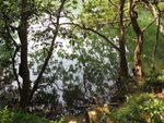 IMG_2545