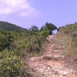 10-839D0F31-1972493-960