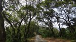 DSC01009