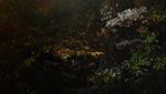 DSC01020