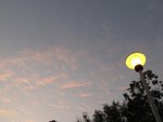 IMG_3036