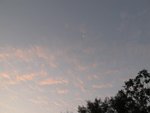 IMG_3037