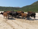 IMG_3172