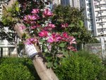 DSC01035