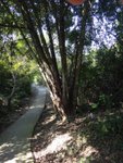DSC01077
