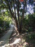 DSC01078