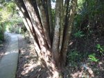 DSC01079