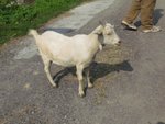 IMG_3115
