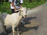 IMG_3117