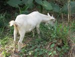 IMG_3120