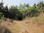 IMG_3529