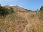 IMG_3534