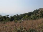 IMG_3535