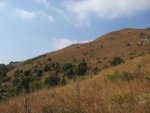 IMG_3536