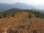 IMG_3537