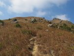 IMG_3538