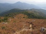 IMG_3539