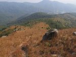 IMG_3540