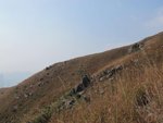 IMG_3543