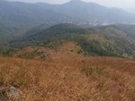 IMG_3544