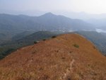 IMG_3545