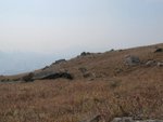 IMG_3547