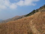 IMG_3549