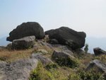 IMG_3550