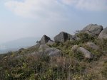 IMG_3553