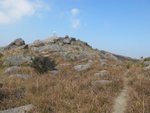 IMG_3554