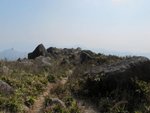 IMG_3558