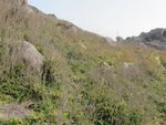 IMG_3561