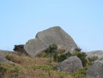 IMG_3562