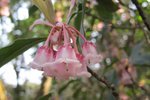 IMG_3942
