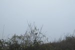 IMG_4244